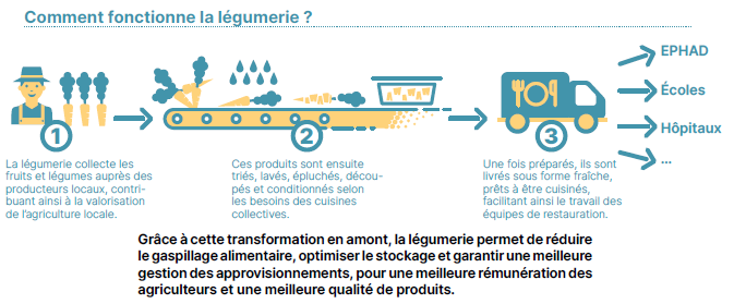 légumerie métropolitaine