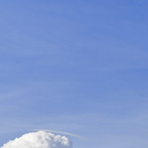 Conseil Métropolitain du 13 décembre 2019 - La Métropole Européenne de Lille relève le défi d’une métropole sobre, solidaire et résiliente - Le Conseil Métropolitain vote son Plan Climat Air Energie Territorial